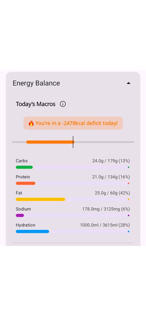 ChronoFit Energy Balance Tracker